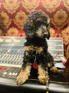 Jonathan Davis' dog Dante