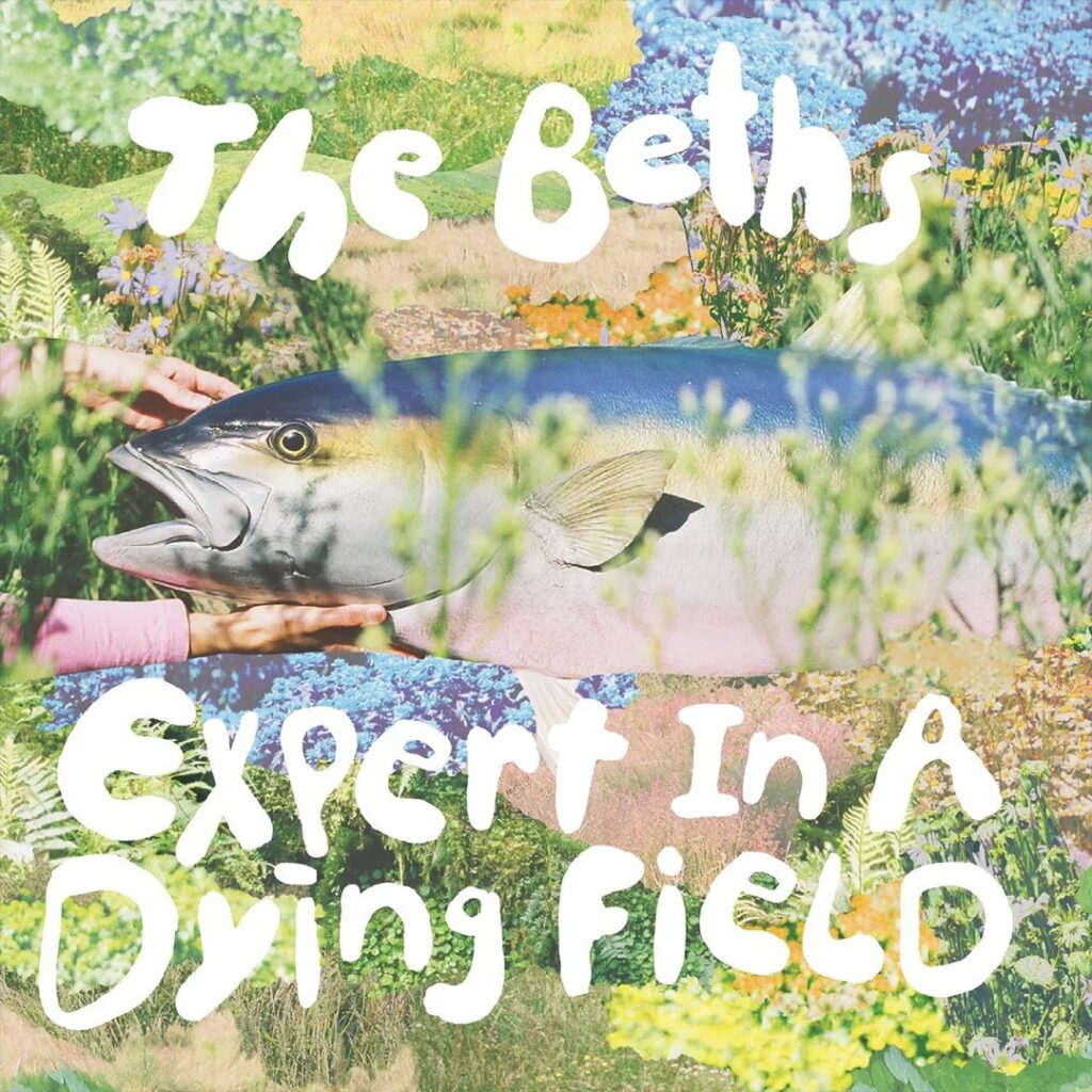 The Beths – ‘Expert In A Dying Field’