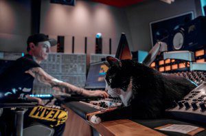 Deadmau5 and Meowingtons in the studio.