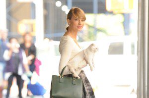 Taylor Swift, cat
